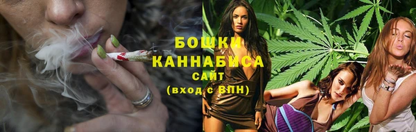 Альфа ПВП Верея