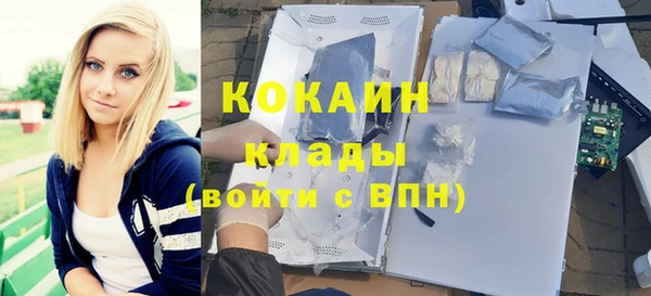Альфа ПВП Верея